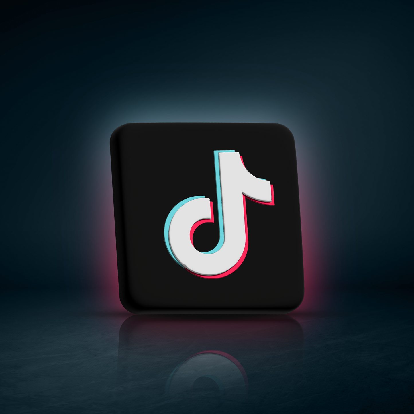 Seguidores TikTok